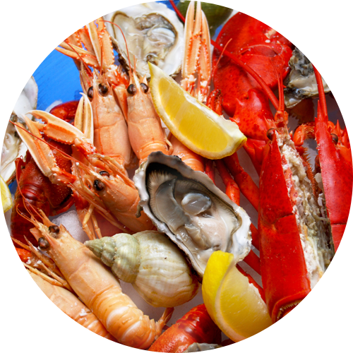 Restaurant front de mer Perpignan